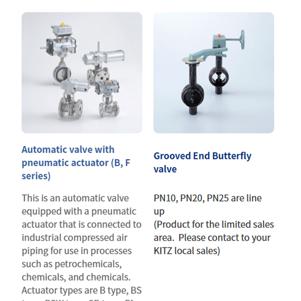 KITZ日本開滋閥門、10K電動(dòng)蝶閥EXS100-10DJUE-300A