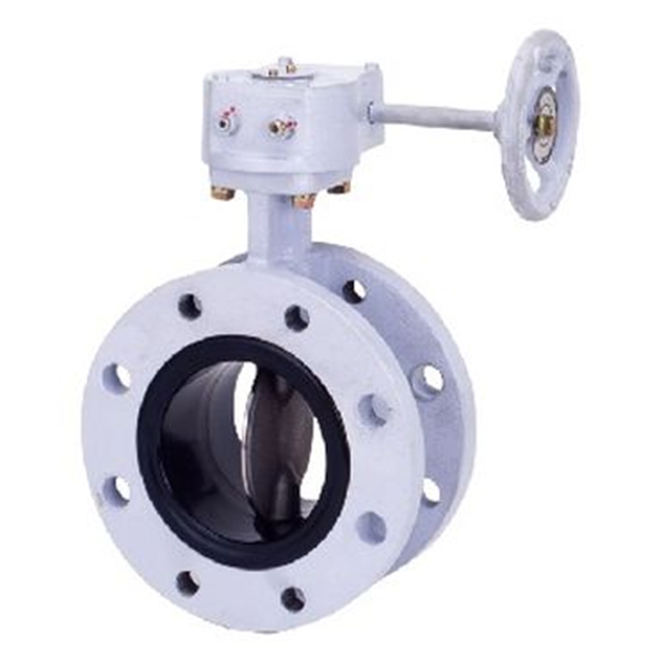 KITZ開滋FCD閥體SCS13雙驅動氣動蝶閥FA-10NFJUE-65A