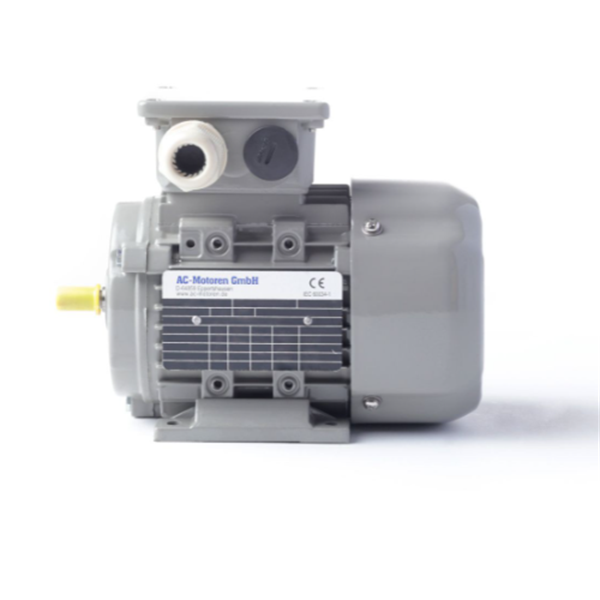 德國(guó)AC MOTOREN防火防爆電機(jī)E3-ASA 90 SB 4