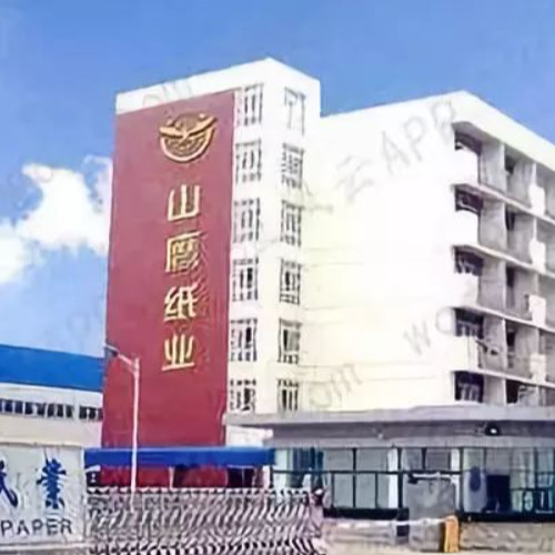 浙江山鷹紙業(yè)有限公司.jpg 浙江山鷹紙業(yè)有限公司.jpg