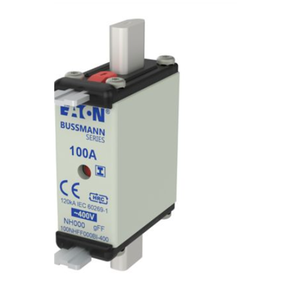 EATON伊頓  FAZ 電纜輸入電纜輸出FAZ-C10/1-SP 型